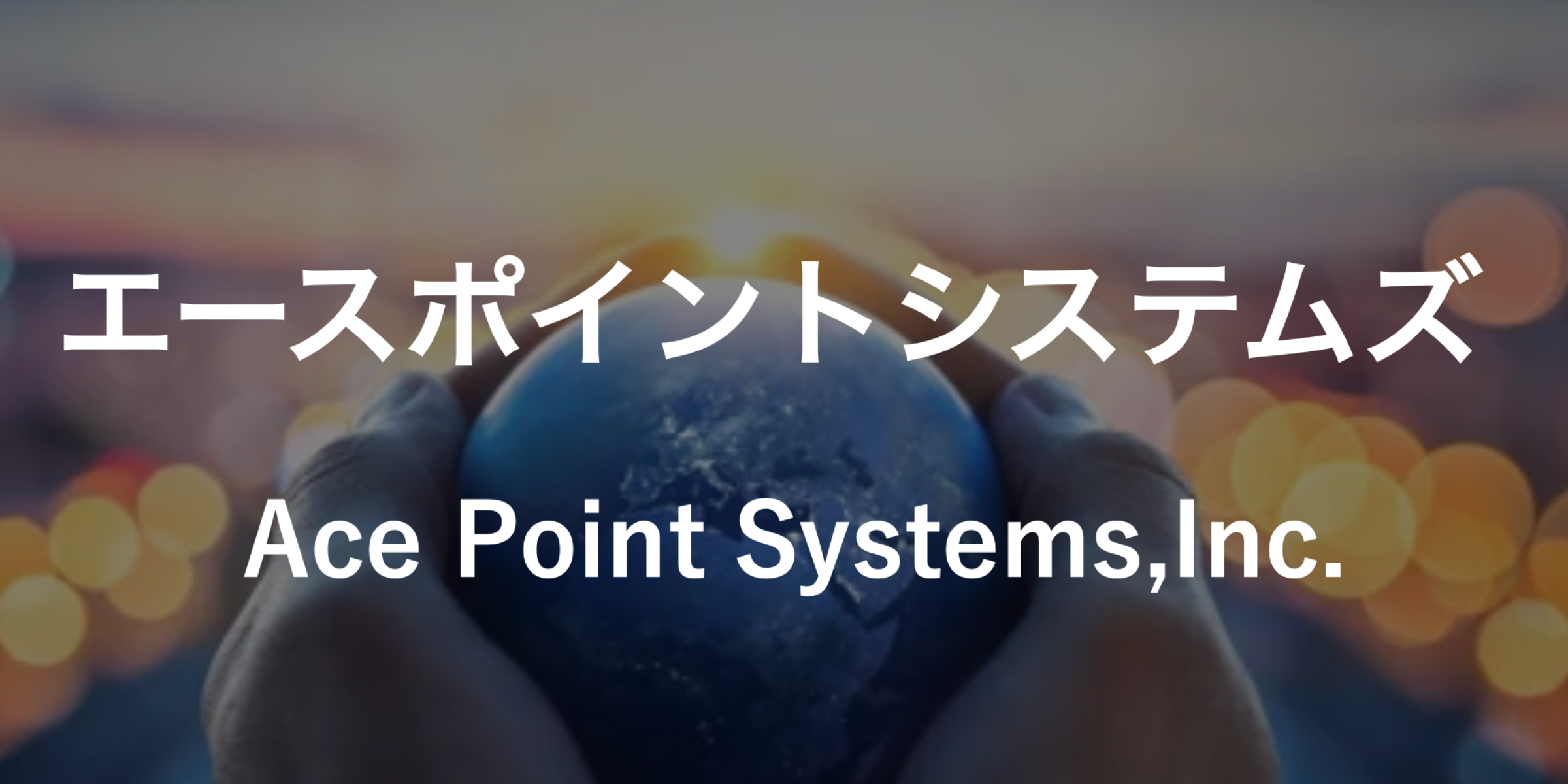 エースポイントシステムズ